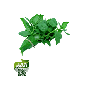 Espinafre orgânico 80g