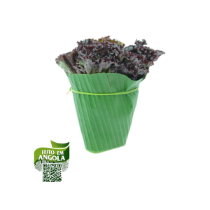 Alface crespa roxa Orgânico - 400g