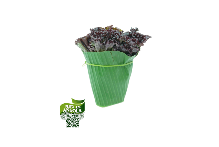Alface crespa roxa Orgânico - 400g
