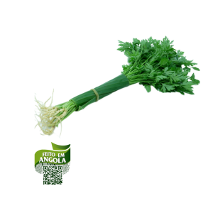 Salsa Orgânica 70g