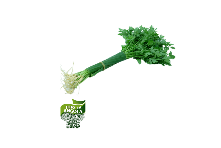 Salsa Orgânica 70g