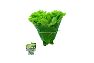 Alface frisada Orgânica  400g
