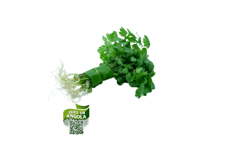 Coentro Orgânico 70g