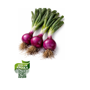 cebola-roxa-300g